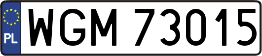 WGM73015