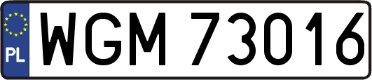 WGM73016