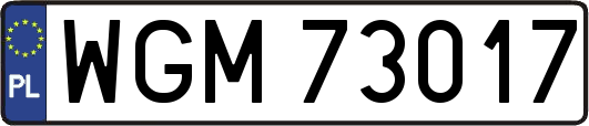 WGM73017
