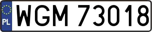 WGM73018