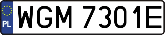 WGM7301E