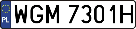 WGM7301H
