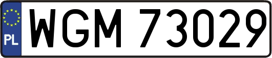WGM73029