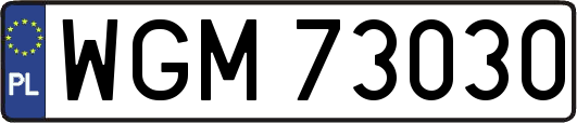 WGM73030