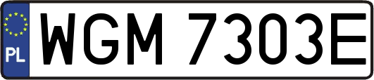 WGM7303E