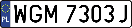 WGM7303J