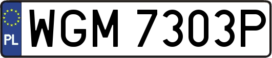 WGM7303P
