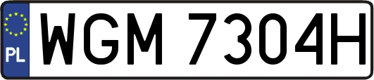 WGM7304H