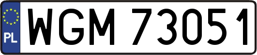 WGM73051