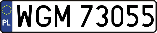 WGM73055