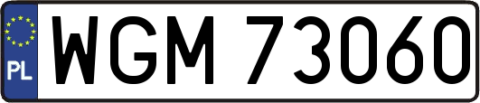 WGM73060