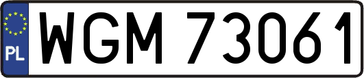 WGM73061