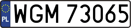 WGM73065