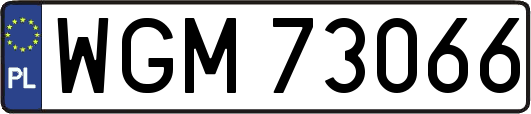 WGM73066