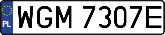 WGM7307E