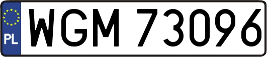 WGM73096