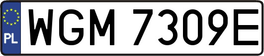 WGM7309E