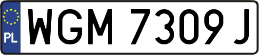 WGM7309J