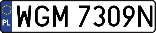 WGM7309N