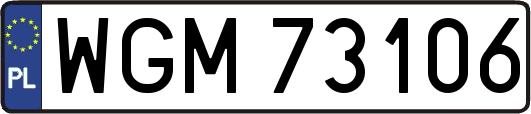 WGM73106