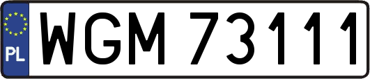 WGM73111