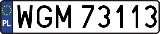 WGM73113