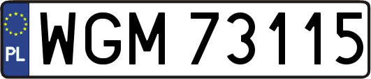 WGM73115