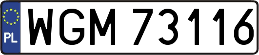 WGM73116