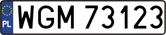 WGM73123