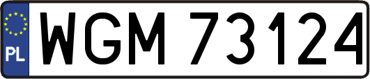 WGM73124