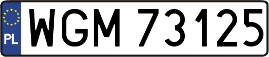 WGM73125