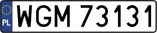 WGM73131