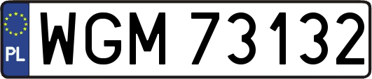 WGM73132