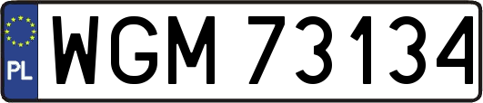 WGM73134