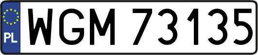 WGM73135