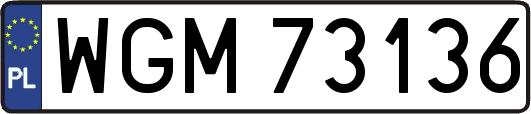 WGM73136
