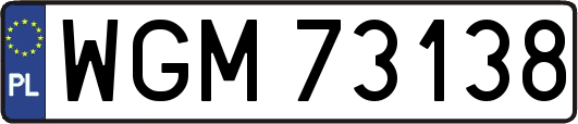 WGM73138