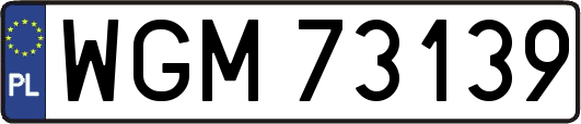 WGM73139