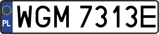 WGM7313E