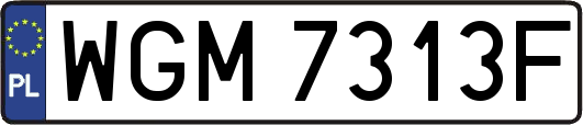 WGM7313F