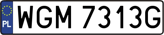 WGM7313G