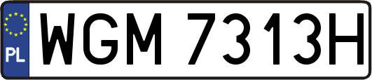 WGM7313H