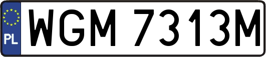 WGM7313M