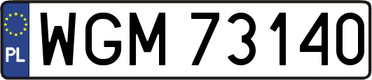 WGM73140