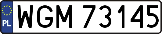 WGM73145