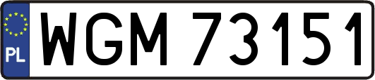 WGM73151