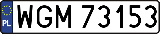 WGM73153