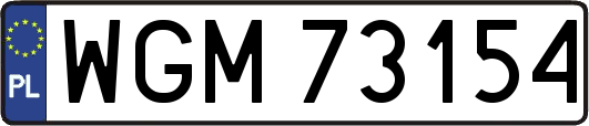 WGM73154