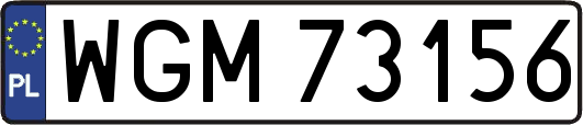 WGM73156