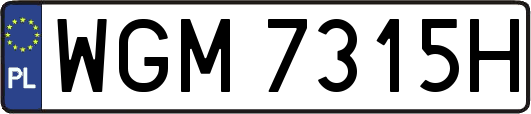 WGM7315H